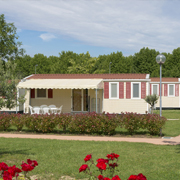 camping site with rows of identical mobil homes