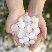 A person holds a cluster of golf-ball-sized hail in their hands