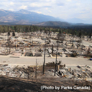 Aerial view of structures destroyed by the 2024 Jasper wildfires