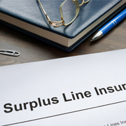 Form with "suplus lines insurance" written across top.