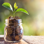 jar with plant and pennies