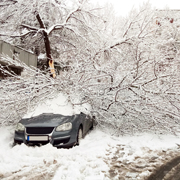 A car in snow, covered by a broken, ice-covered tree branch