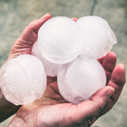 Two hands hold several very large hailstones