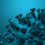 A 3D render of a blue textured COVID-19 virus cell.