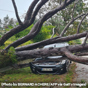 Car crushed by fallen tree during Windstorm Ciaran (Photo by Bernard Achere/AFP via Getty Images)
