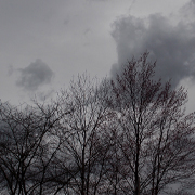 Dark, stormy skies over bare trees