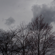 Menacing dark skies over bare trees