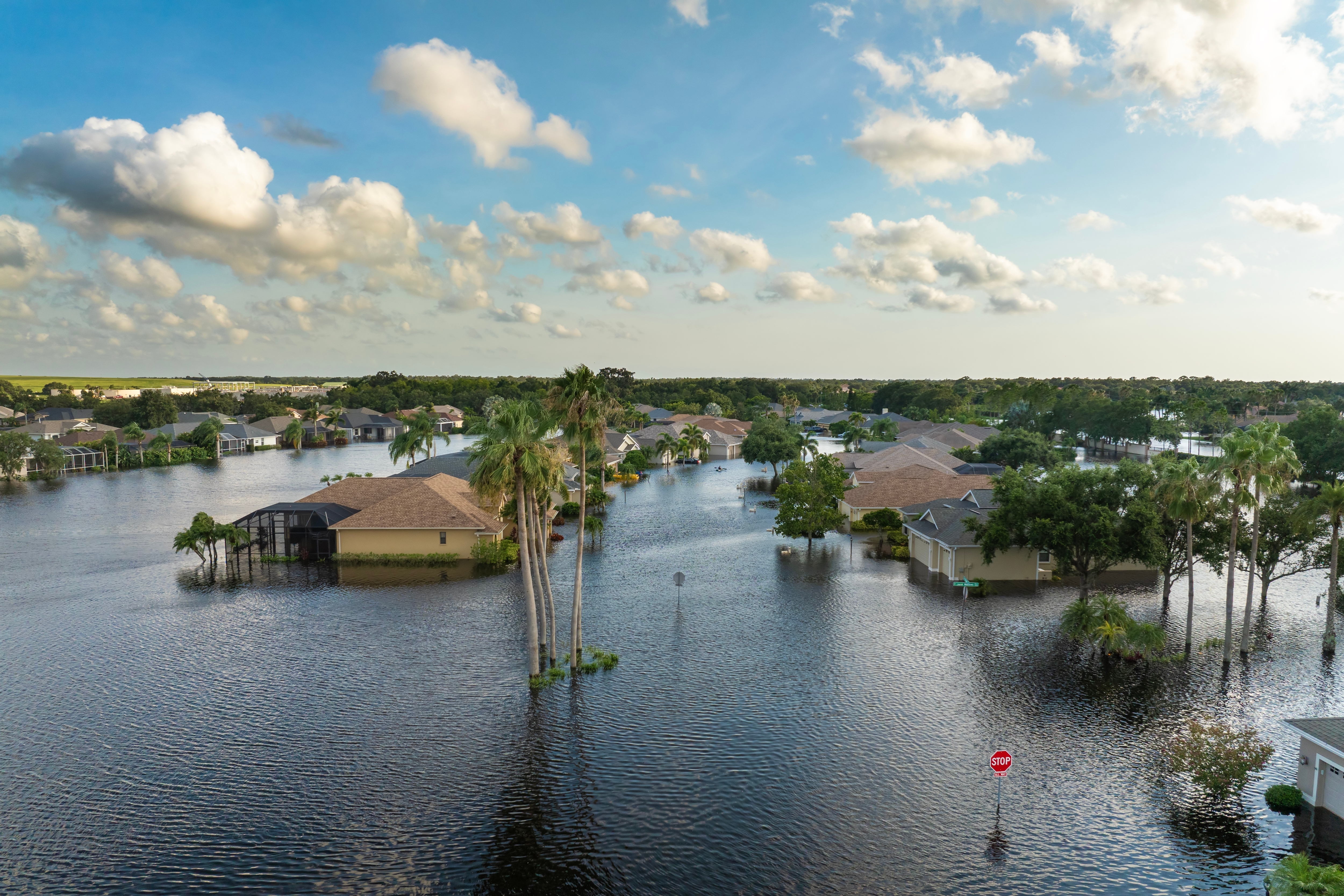 Tuition Assistance and career growth Icons