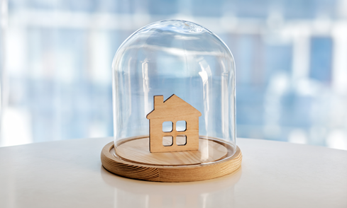 Wooden House Icon under glass dome